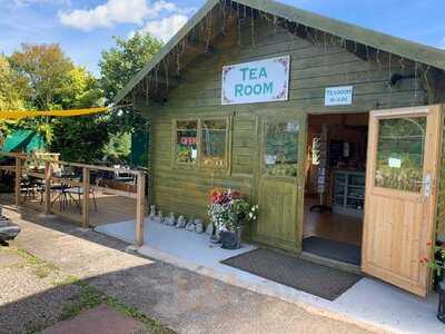 Springridge Nurseries And Tea Room