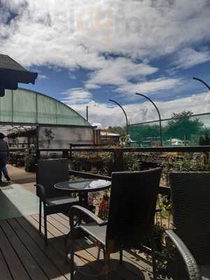 Springridge Nurseries And Tea Room