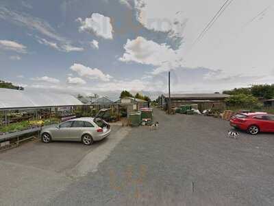 Springridge Nurseries And Tea Room