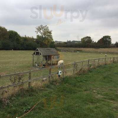 The Duke Of Cumberland's Head