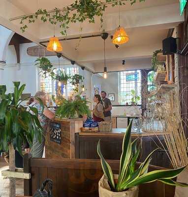 Chuchos At The Chief