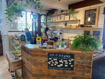 Chuchos At The Chief