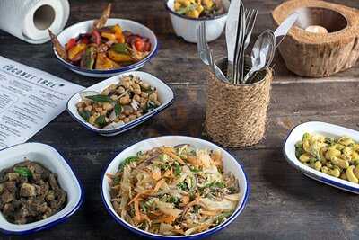 The Coconut Tree Bristol Glos Rd