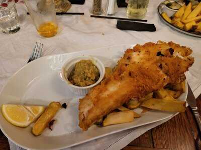 The Butterfly And The Pig