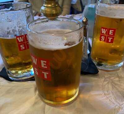 The Butterfly And The Pig