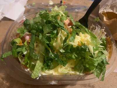 Boojum - Botanic Avenue