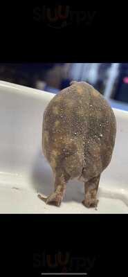 Pitcher & Piano Bristol