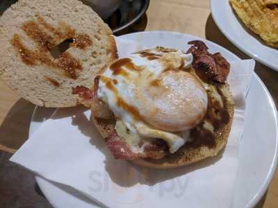 Where The Monkey Sleeps