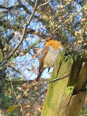 The Lock Keeper's Inn