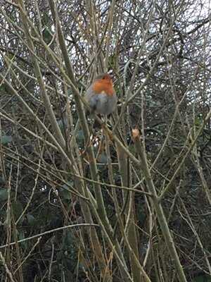 The Lock Keeper's Inn