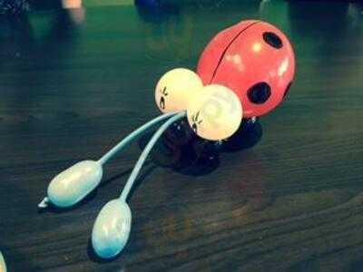 Hillmount -the Gardeners Rest