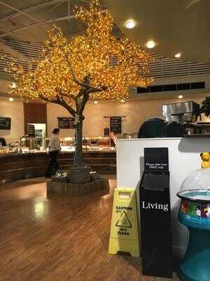 Stockton - Wyvale Garden Centre Restaurant