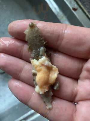 La Vita Piccolino E Vino