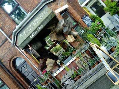 Kangaroos Tie Their Own Laces