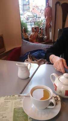 Kangaroos Tie Their Own Laces