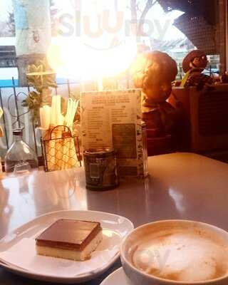 Kangaroos Tie Their Own Laces