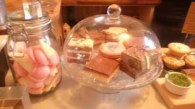 Kangaroos Tie Their Own Laces