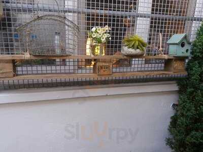 Kangaroos Tie Their Own Laces