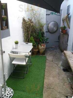 Kangaroos Tie Their Own Laces