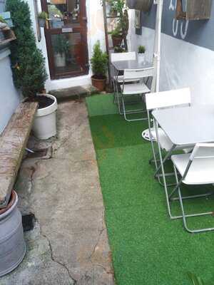 Kangaroos Tie Their Own Laces