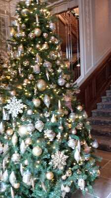 No. 35 At The Bonham Hotel