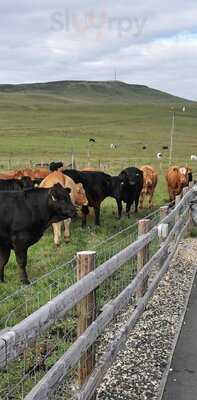 Standing Stones Lodge