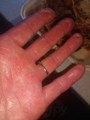 Fresh Cafe And Restaurant