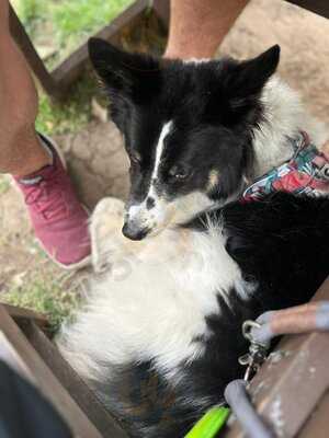 The Hole In The Wall