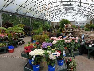 Cameron's Cafe & Deli