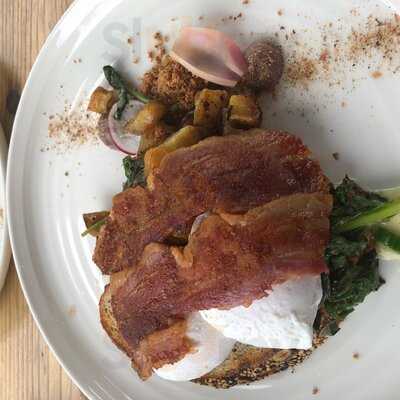 Root & Branch Coffee Roasters