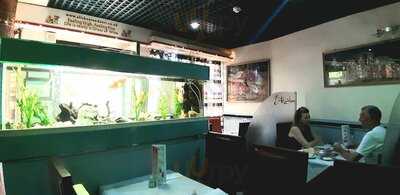 The Alishan Tandoori