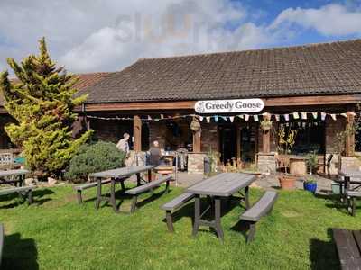 The Greedy Goose At Gatcombe Farm