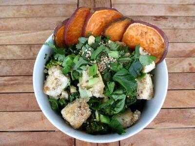 The Spotless Leopard