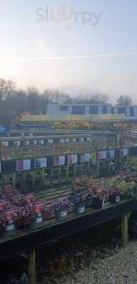 Riverside Garden Centre And Cafe