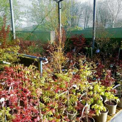 Riverside Garden Centre And Cafe