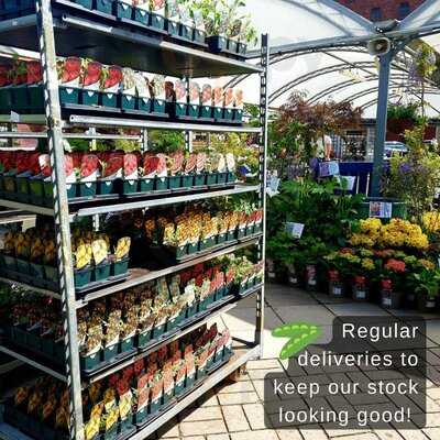 Riverside Garden Centre And Cafe