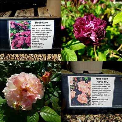 Riverside Garden Centre And Cafe