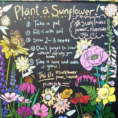 Riverside Garden Centre And Cafe