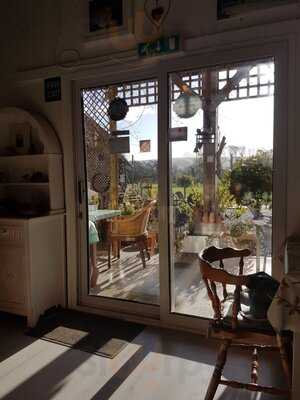 Somerset Flower Farm