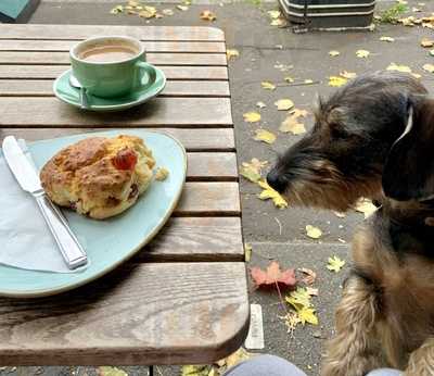 Oliver’s Coffee Bar