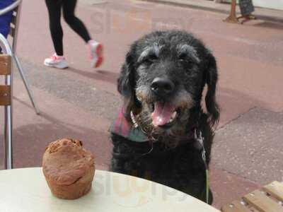 Crumbs Of Portobello