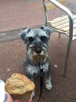 Crumbs Of Portobello