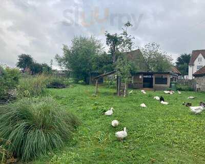 Grimsbury Farm - The Barn Cafe