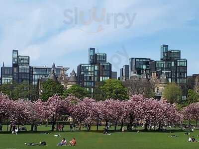 Soderberg, The Meadows - Middle Meadow Walk