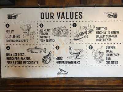 Golden Pheasant At Auchinloch