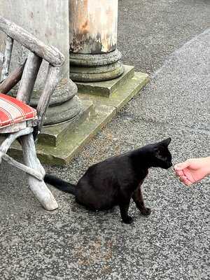 Afternoon Tea At Prestonfield