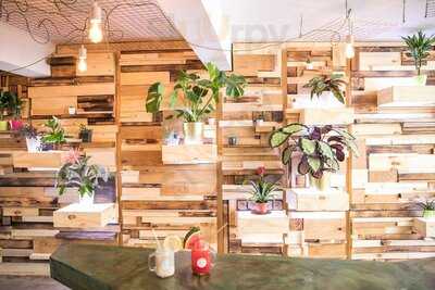 Mr Lahey's Organic Juice Bar