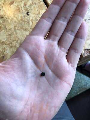 Camile Thai Ballyhackamore