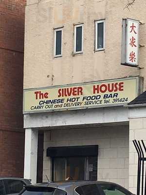 The Silver House