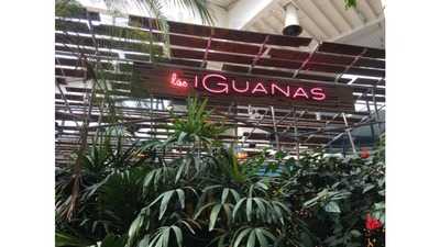 Las Iguanas